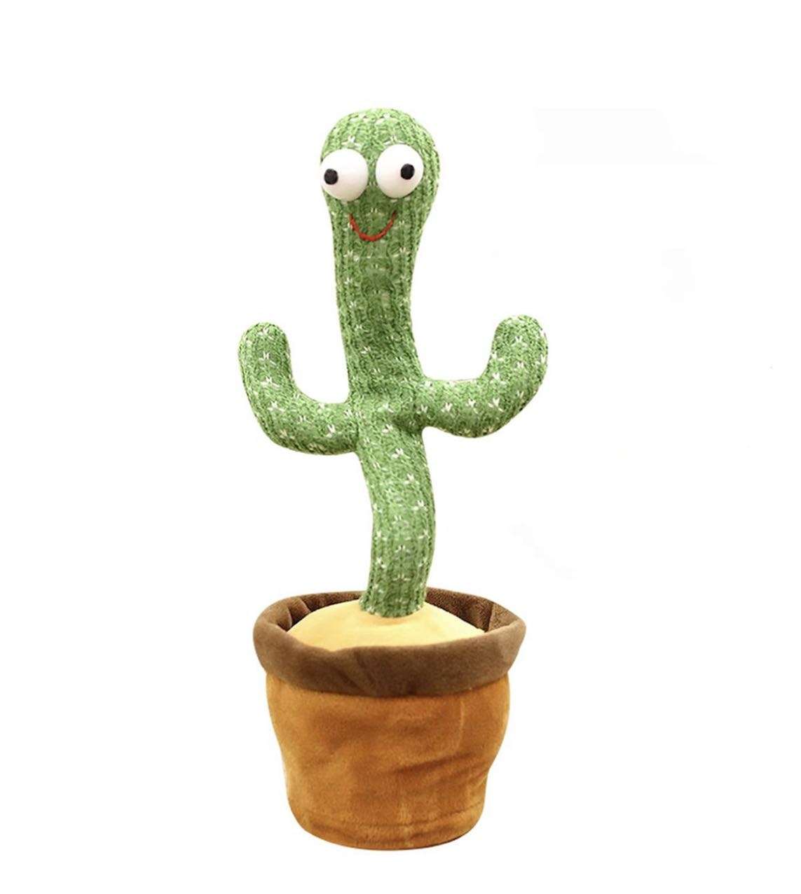 Dancing Cactus
