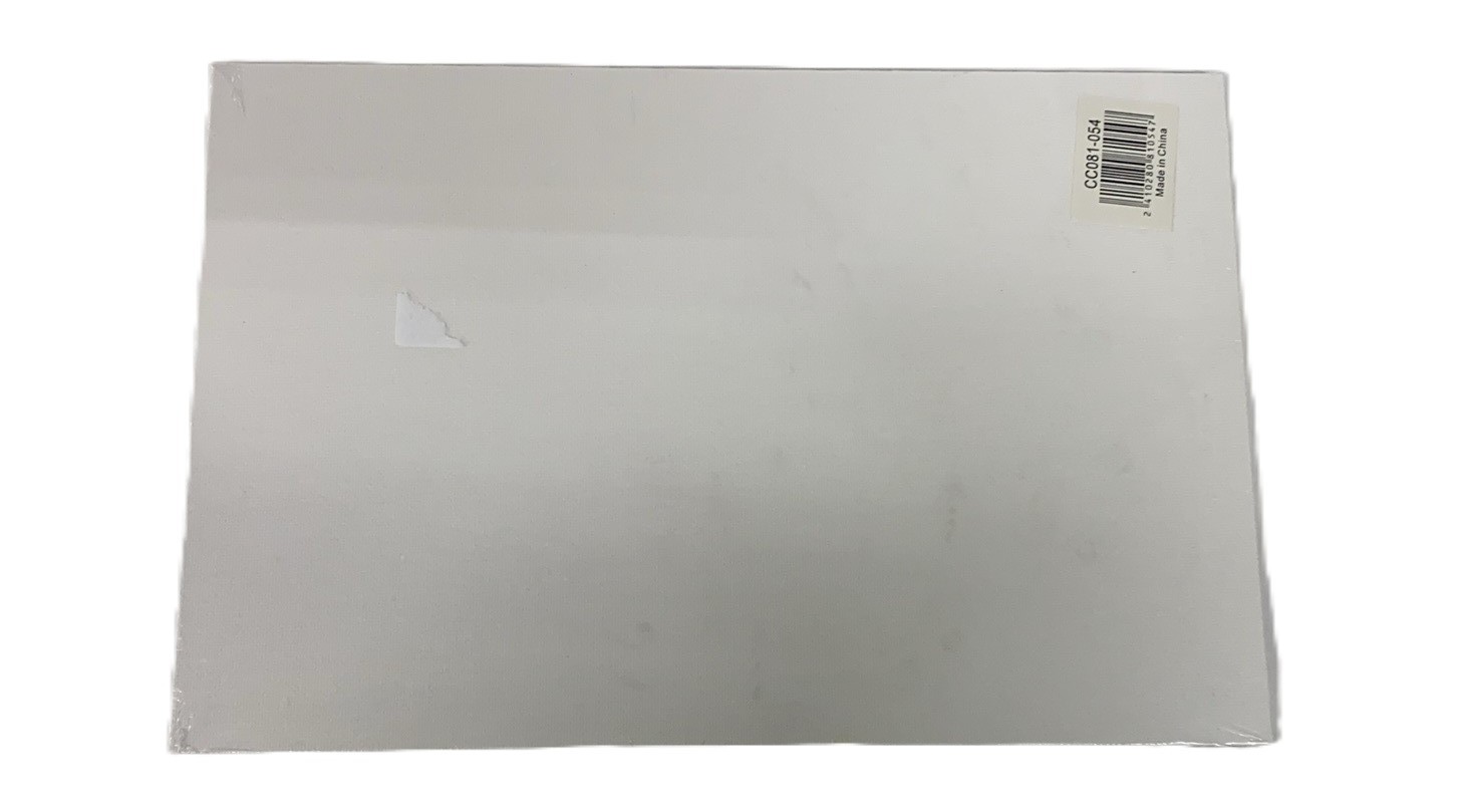 Artist Canvas 20 x 40